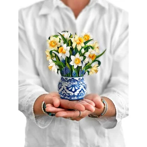 Mini English Daffodils Pop-up Greeting Cards