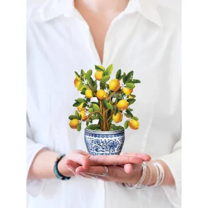 Mini Lemon Blossom Tree  Pop Up Greeting Cards