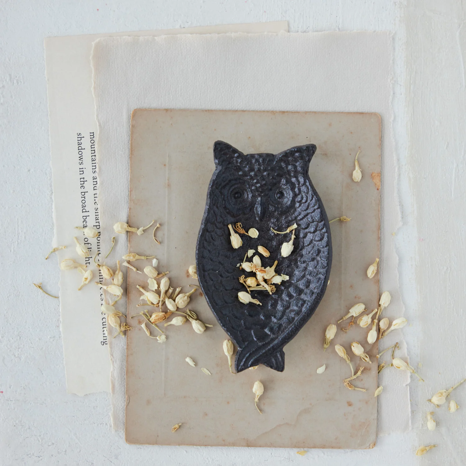 Decorative Cast Iron Owl Shaped Dish - Image 2